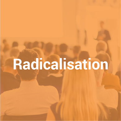 Radicalisation